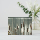 Reedmaces-Briefkaart Briefkaart (Staand voorkant)