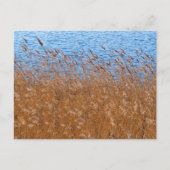 Reeds Briefkaart (Voorkant)