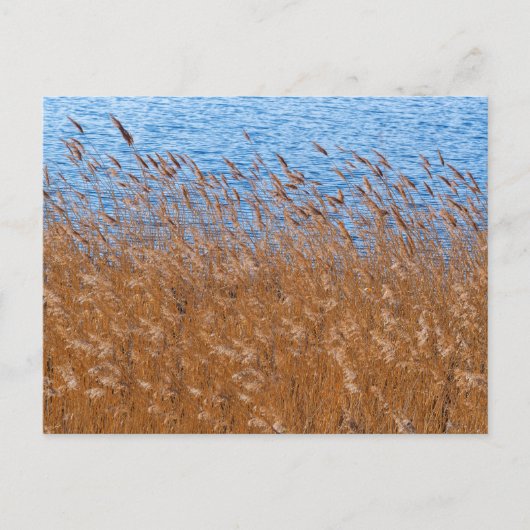 Reeds Briefkaart (Voorkant)