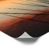 Reeds en Lakeside Reflection bij zonsondergang Poster (Hoek)