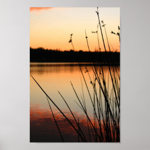 Reeds en Lakeside Reflection bij zonsondergang Poster