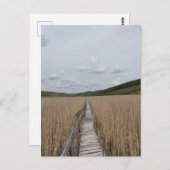 Reeds in een Marsh in Roemenië Briefkaart (Voorkant / Achterkant)