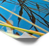 Reeds in een meer poster (Hoek)