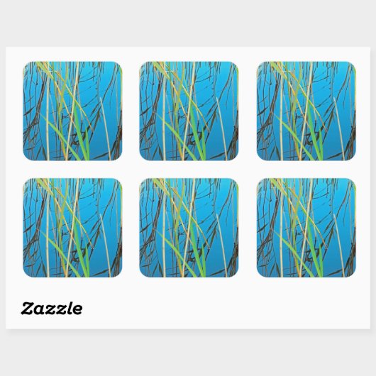 Reeds in een meer vierkante sticker (Vel)