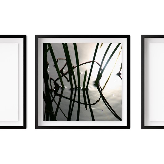 Reeds Reflectie Zen Fotografie Poster