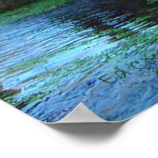 Reeds Spring Mill in januari Poster (Hoek)