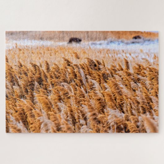 Reeds van Antelope Island, Utah - 20x30 - 1014 pcs Legpuzzel (Horizontaal)