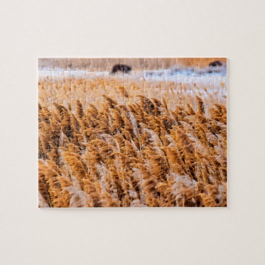 Reeds van Antelope Island, Utah - 8x10 - 110 pcs. Legpuzzel (Horizontaal)