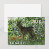 Reeë geboortekaart met een Cute Ree in het bos Briefkaart (Voorkant / Achterkant)