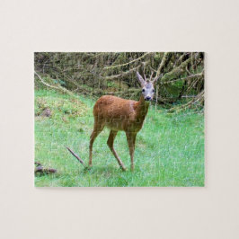 Reeënbok Mannetje Poseert Boslandschap Wilde Natuu Legpuzzel