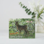 Reeërcalgeboren in het bos verjaardagsansichtkaart briefkaart (Staand voorkant)