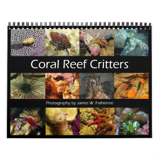 Reef Critters Wall Calendar van J.W. Fatherree. Kalender (Hoes)