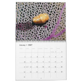 Reef Critters Wall Calendar van J.W. Fatherree. Kalender (Jan 2027)