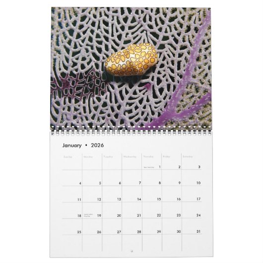 Reef Critters Wall Calendar van J.W. Fatherree. Kalender (Jan 2026)