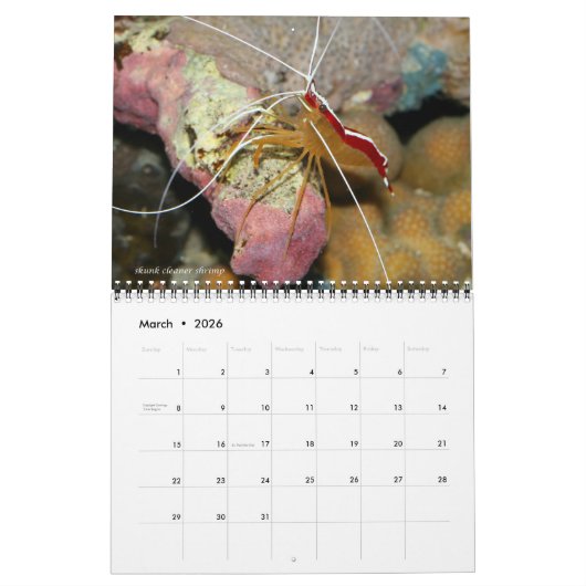 Reef Critters Wall Calendar van J.W. Fatherree. Kalender (Mar 2026)