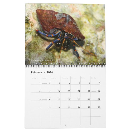 Reef Critters Wall Calendar van J.W. Fatherree. Kalender (Feb 2026)