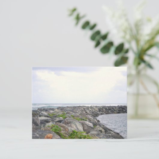 Reef_Dorado PR Briefkaart (Staand voorkant)