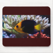 Reef Serenity Mousepad Muismat (Voorkant)