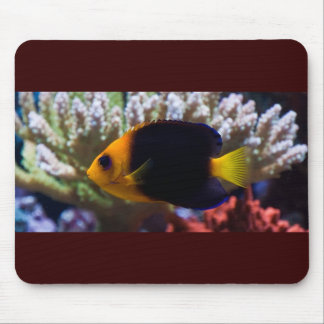Reef Serenity Mousepad Muismat
