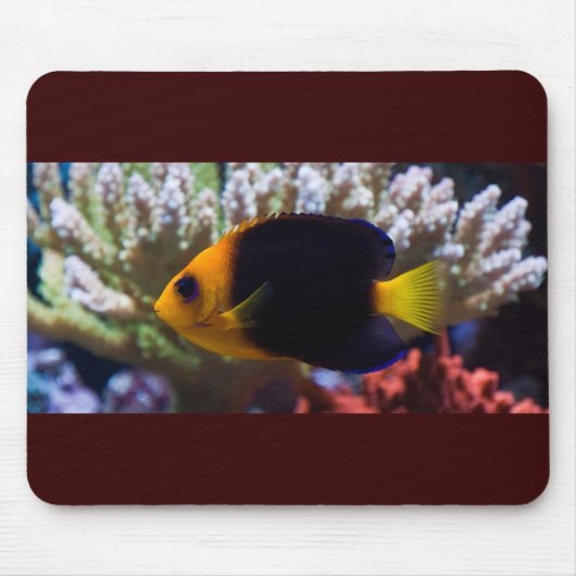 Reef Serenity Mousepad Muismat (Voorkant)