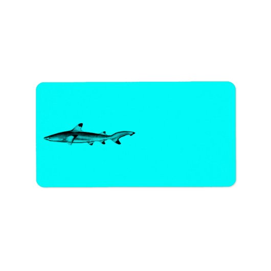  Reef Shark Illustratie Neon Blauwgroen Blauw Etiket (Voorkant)