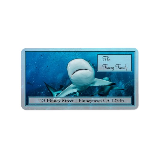 Reef Shark op het Great Barrier Reef Address Label (Voorkant)