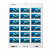 Reef Shark op het Great Barrier Reef Address Label (Full Sheet)