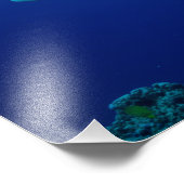 Reef Shark Photo Print Foto Afdruk (Hoek)