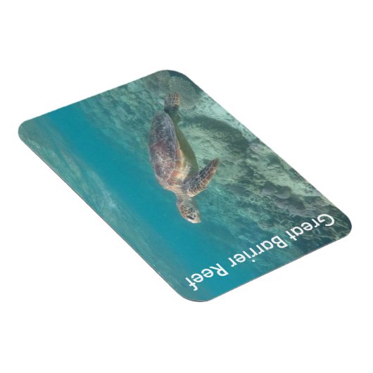 reefschildpad magneet (Rechterzijde)