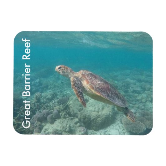 reefschildpad magneet (Horizontaal)