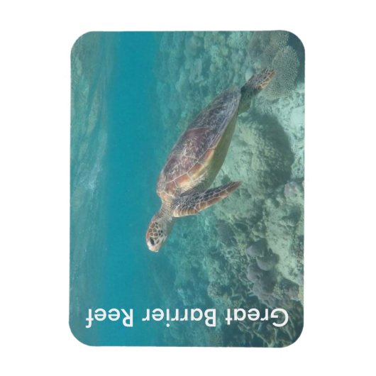 reefschildpad magneet (Verticaal)