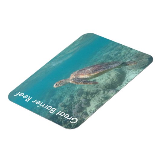 reefschildpad magneet (Linkerzijde)