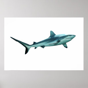 Reefshark - Abstract Design - Knip uit een foto   Poster