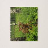 Reekalfjes Spel Puzzel (Verticaal)