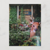 Reekhert in de tuin Collage Briefkaart (Voorkant)