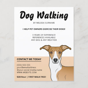 Reekleurige en witte Italiaanse Windhond - Hondenu Flyer