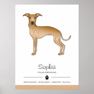 Reekleurige Italiaanse Windhond Mopshond Met Aange Poster