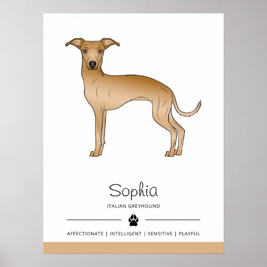 Reekleurige Italiaanse Windhond Mopshond Met Aange Poster (Voorkant)