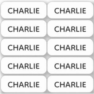 Reeks 10 Eenvoudige Kleinnaamlabels met afgeronde  Sticker