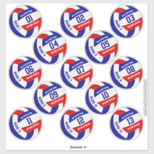 Reeks 13 rode witte blauwe teamkleuren volleyball sticker