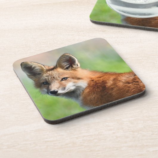 Reeks 6 Fox onderzetters (Linkerzijde)