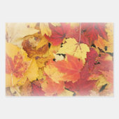 Reeks blaaspapier voor herfst leder Reeks van 3 Inpakpapier Vel (Voorkant 3)