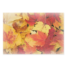Reeks blaaspapier voor herfst leder Reeks van 3