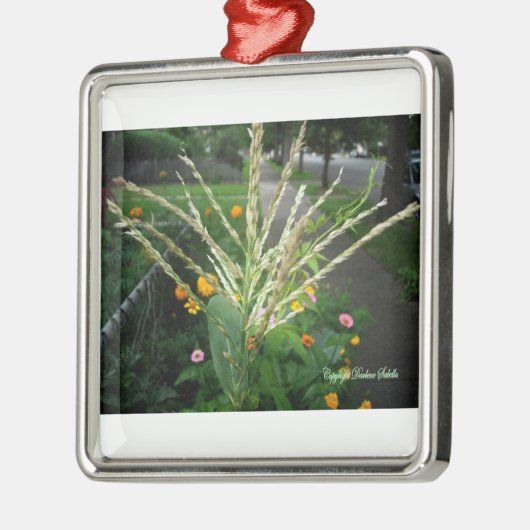 Reeks kerstFlora Metalen Ornament (Links)