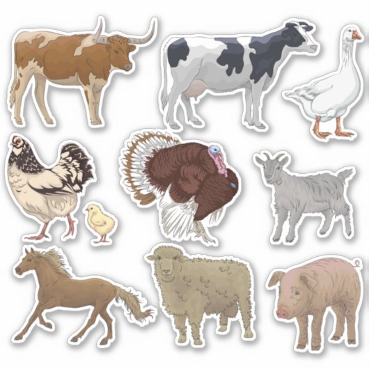 reeks landbouwhuisdieren sticker (Voorkant)