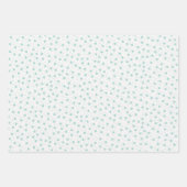 Reeks van 3 ladingvispapier inpakpapier vel (Voorkant 2)