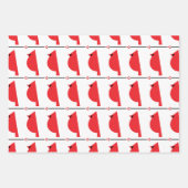 Reeks van 3 vellen voor vellen van inpakpapier voo (Voorkant 2)