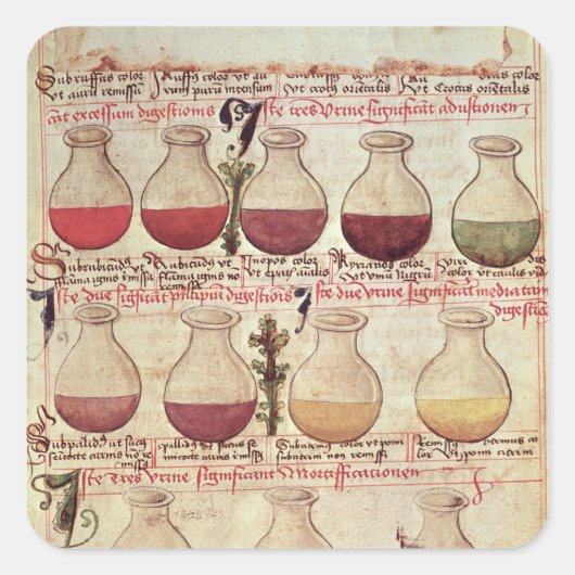 Reeks vlaggen voor urineanalyse vierkante sticker (Voorkant)