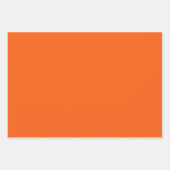 Reeks waterverf pompoenen inpakpapier vel (Voorkant 3)