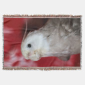 Reeples Deken (Voorkant)